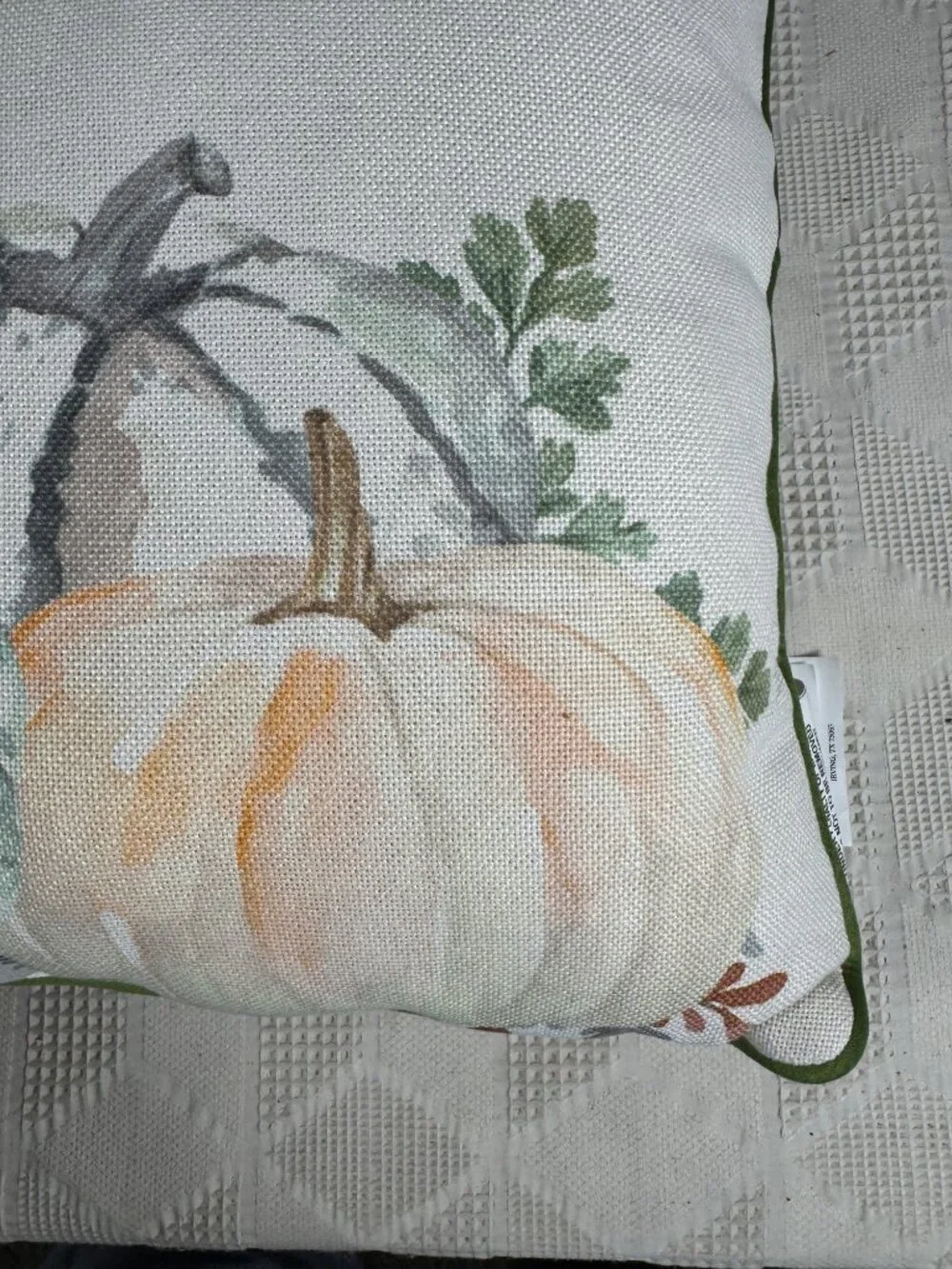 Hello Pumpkin Fall Throw Pillow Embroidered Text Watercolor Pumpkin 16 Inches